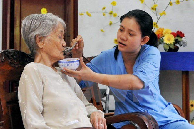 (Ảnh minh họa: TTXVN) 10 sự kiện nổi bật ngành lao động-thương binh và xã hội năm 2016 ảnh 6