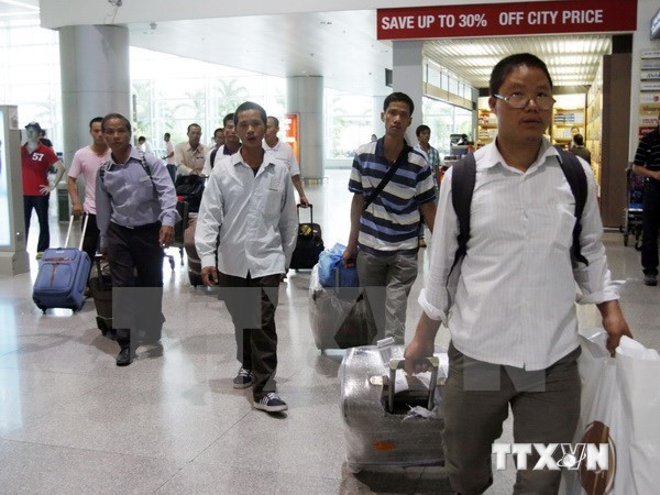 (Ảnh minh họa: TTXVN) 10 sự kiện nổi bật ngành lao động-thương binh và xã hội năm 2016 ảnh 10