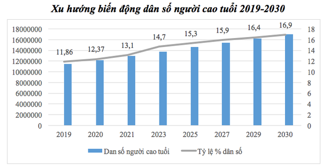 Thích ứng với già hoá dân số: Hỗ trợ sinh kế cho riêng người cao tuổi ảnh 2