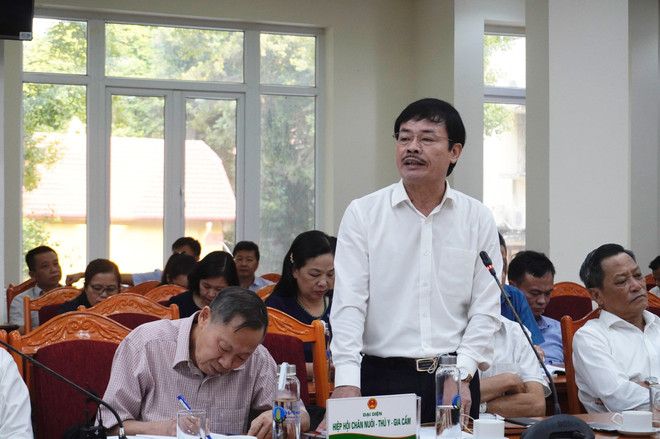 Nhập lậu gia súc, gia cầm làm suy giảm sức cạnh tranh ngành chăn nuôi ảnh 2