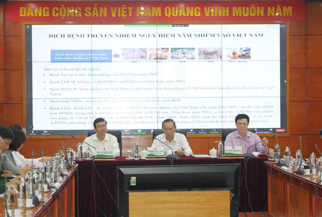 Nhập lậu gia súc, gia cầm làm suy giảm sức cạnh tranh ngành chăn nuôi ảnh 3