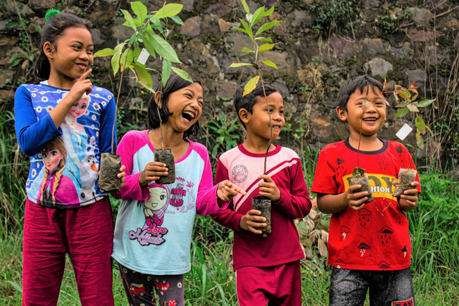 AstraZeneca đầu tư 1.200 tỷ đồng trồng 22,5 triệu cây xanh ở Việt Nam ảnh 1