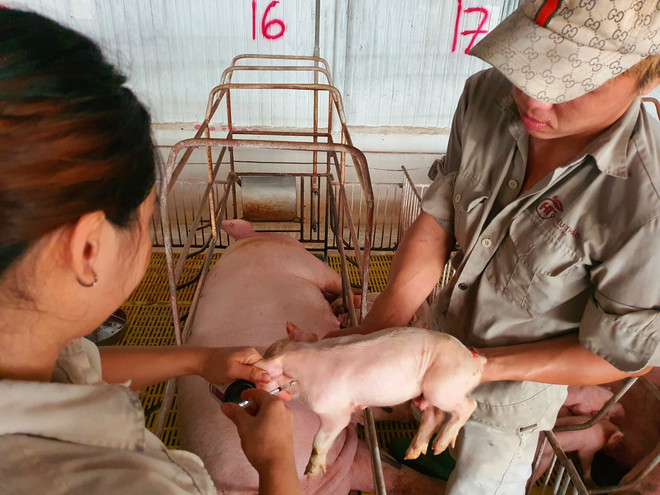 Việt Nam-Hoa Kỳ thúc đẩy hợp tác công nghệ sinh học ngành nông nghiệp ảnh 2