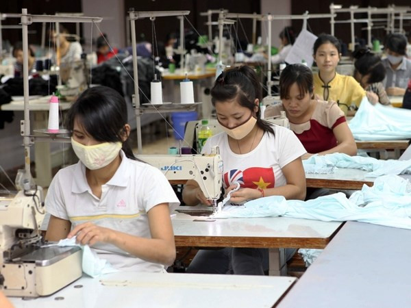 Hưởng lương hưu có lợi hơn gấp 6 lần nhận bảo hiểm xã hội một lần ảnh 1