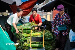 Chợ lá dong lâu đời nhất Hà Nội nhộn nhịp những ngày giáp Tết Nguyên đán