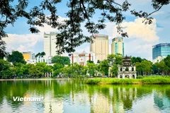 (Ảnh: Trần Hương Sơn/Vietnam+)