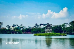 (Ảnh: Trần Hương Sơn/Vietnam+)