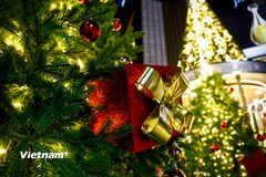 Không khí chào đón Giáng sinh tràn ngập khắp phố phường Hà Nội