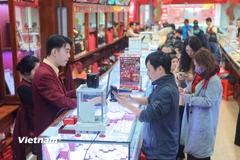 Ảnh minh họa. (Ảnh: Hoài Nam/Vietnam+)