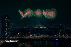 Rực rỡ 'đại tiệc' pháo hoa mừng thành công Đại hội XIV của Đảng