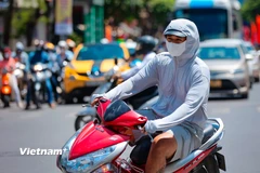 Ảnh minh họa. (Nguồn: TTXVN)