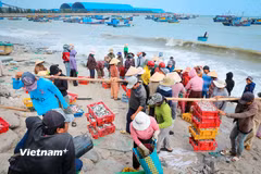 Làng cá truyền thống Vĩnh Tân: "Mặn mòi vị biển" giữa dòng chảy hiện đại 