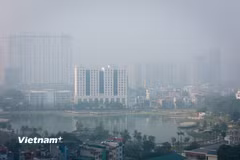 (Ảnh minh họa: Vietnam+)