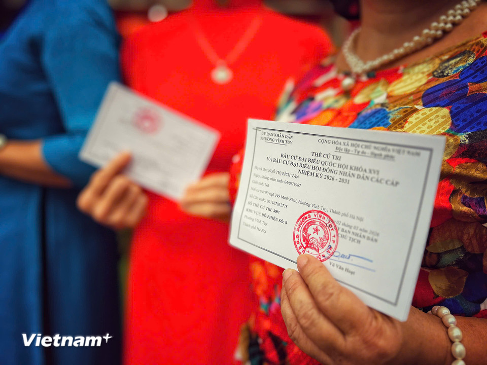 Mỗi cử tri đều cảm thấy tự hào cùng tinh thần trách nhiệm với mỗi tấm thẻ của mình. (Ảnh: Mai Mai/Vietnam+)