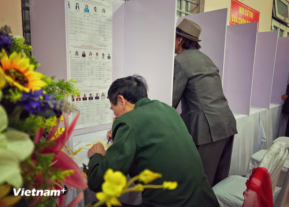Các cử tri nghiên cứu danh sách ứng cử viên và viết phiếu tại khu vực quy định. (Ảnh: Mai Mai/Vietnam+)