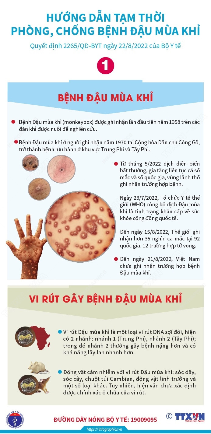 [Infographics] Những điều cần biết về dịch bệnh đậu mùa khỉ ảnh 1