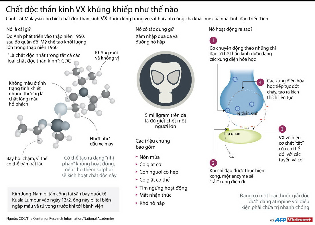 [Infographics] Chất độc thần kinh VX khủng khiếp như thế nào ảnh 1