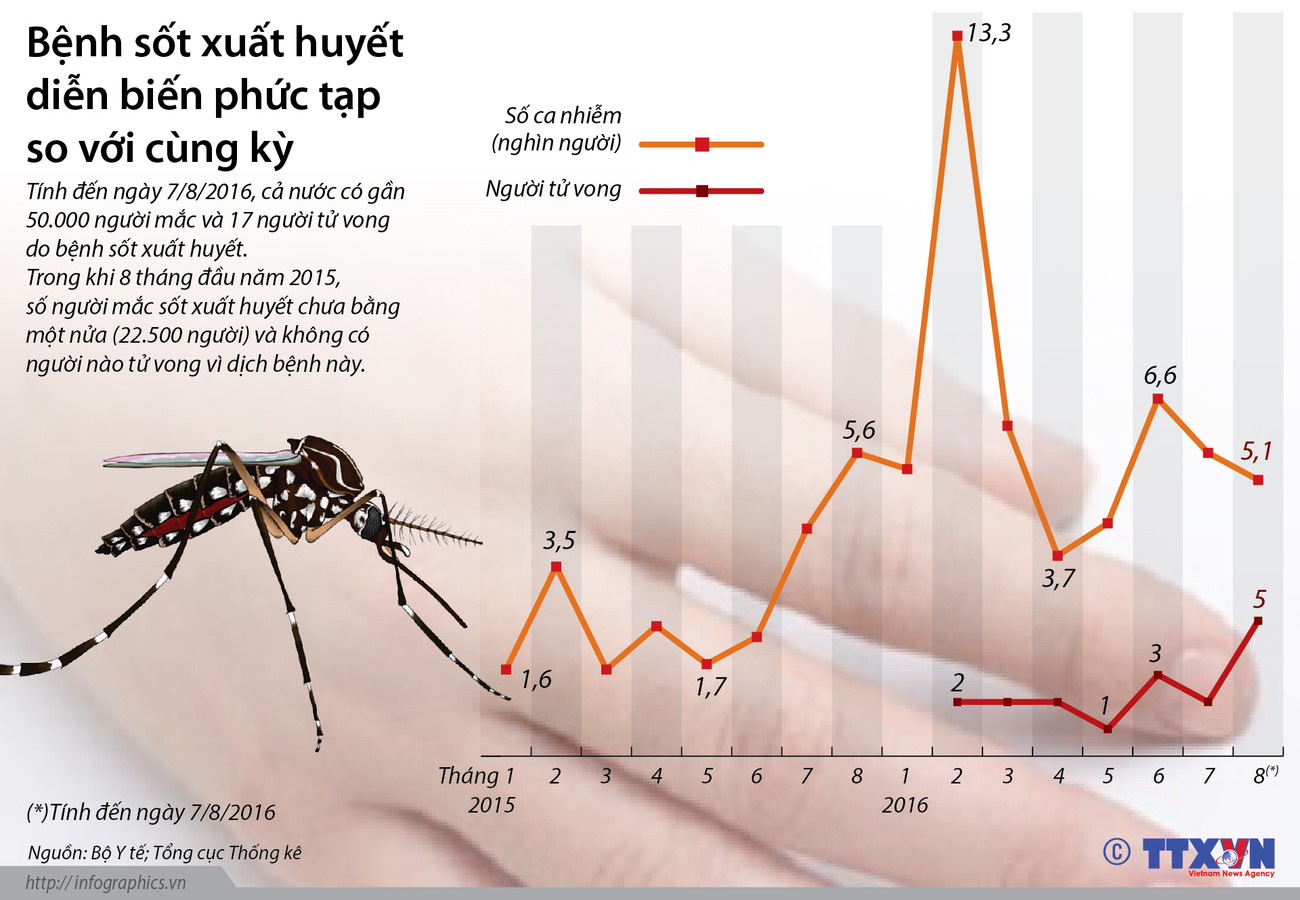 [Infographics] Bệnh sốt xuất huyết diễn biến phức tạp so với cùng kỳ ảnh 1