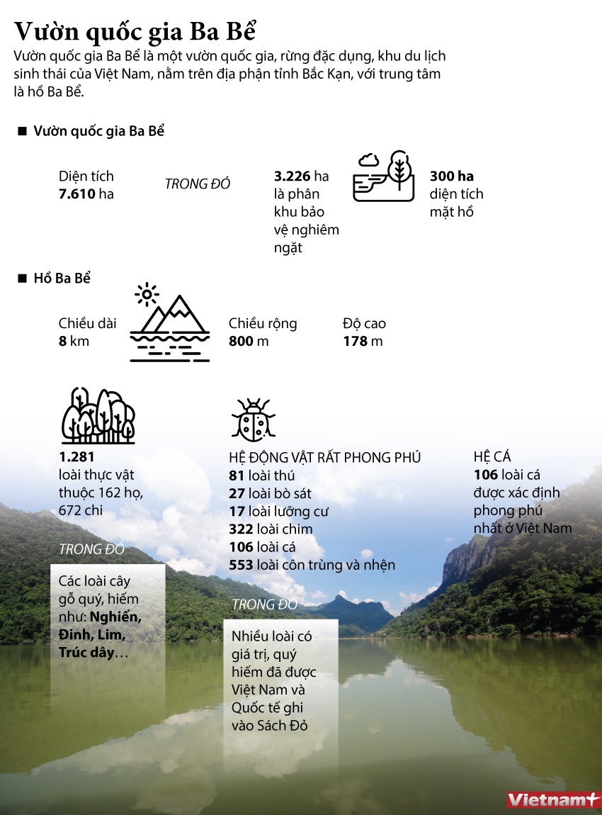 [Infographics] Vườn quốc gia Ba Bể - "Lá phổi xanh" giữa đại ngàn ảnh 1