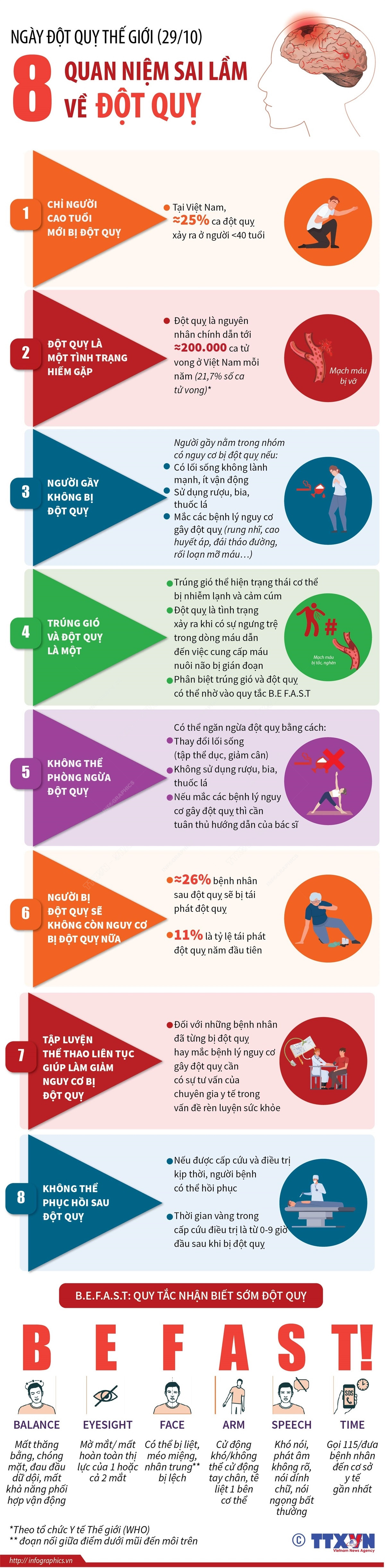 Ngày Đột quỵ thế giới 29/10: 8 quan niệm sai lầm về đột quỵ ảnh 1