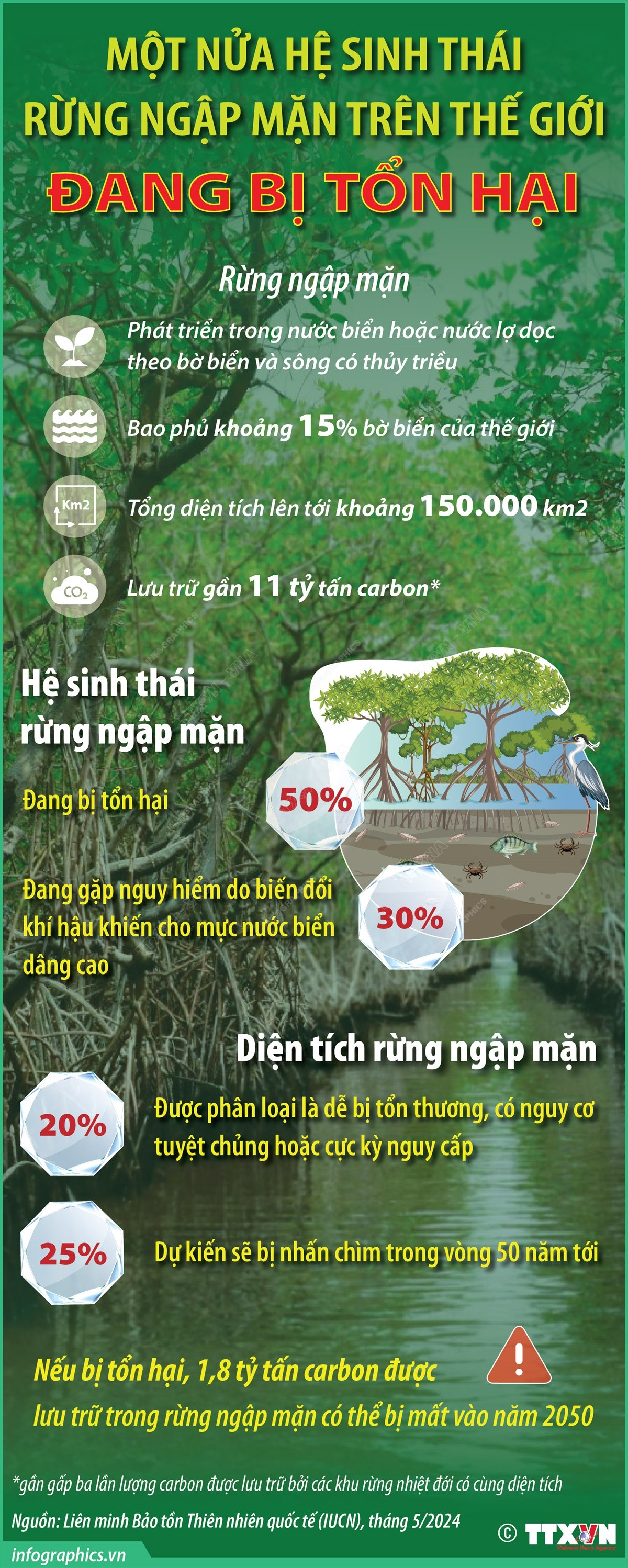 vna_potal_mot_nua_he_sinh_thai_rung_ngap_man_tren_the_gioi_dang_bi_ton_hai.jpg