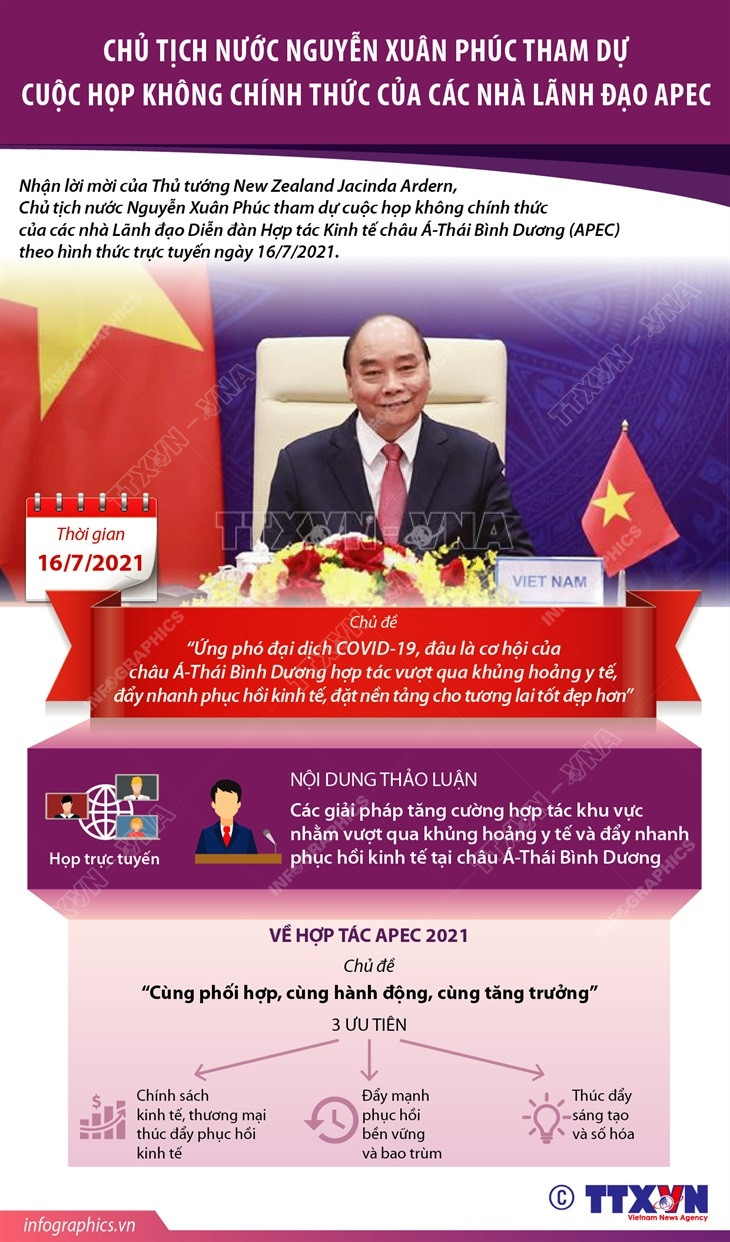 Chủ tịch nước dự họp không chính thức của của các nhà lãnh đạo APEC ảnh 1