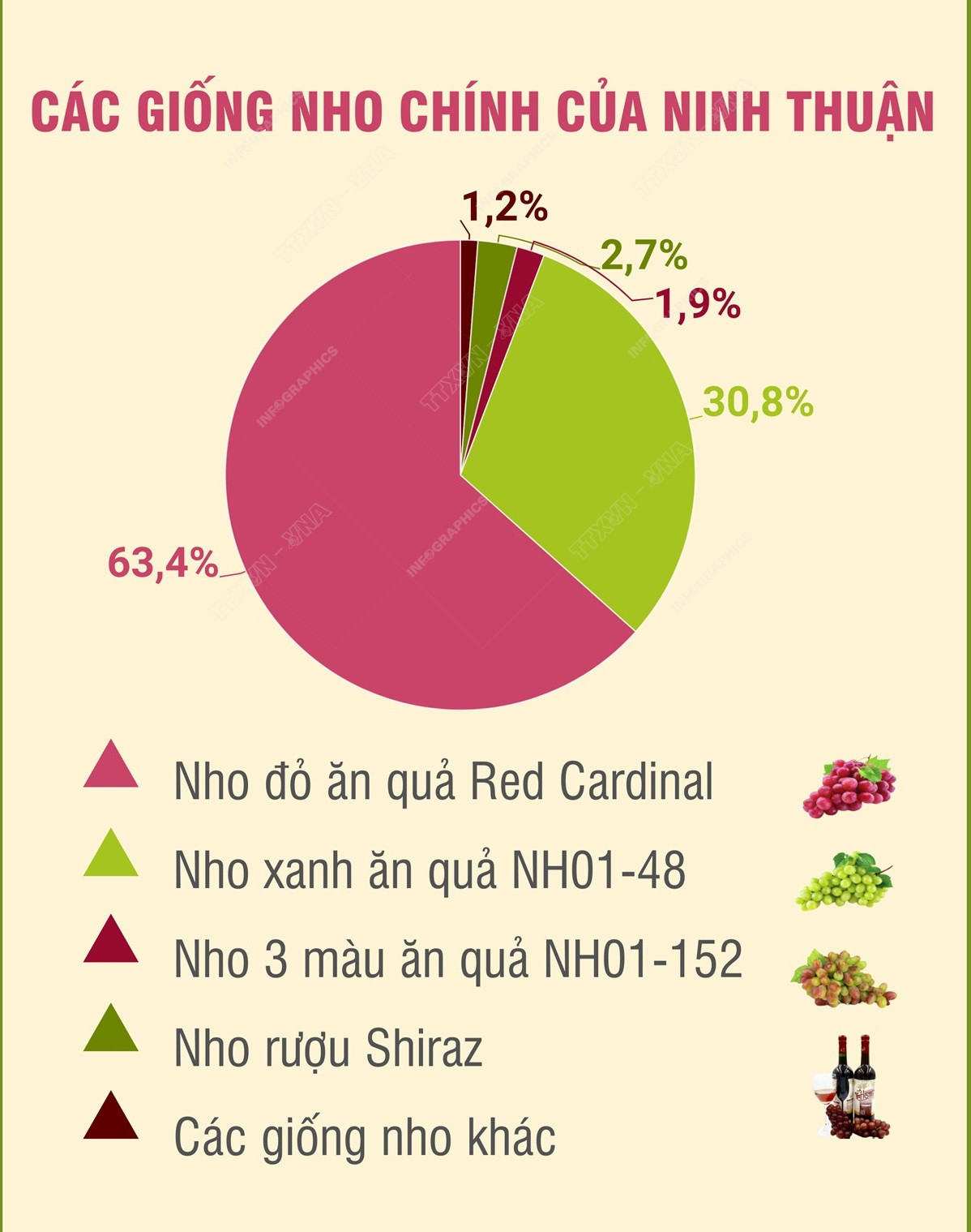 [Infographics] Tỉnh Ninh Thuận - “thủ phủ” nho của cả nước ảnh 3