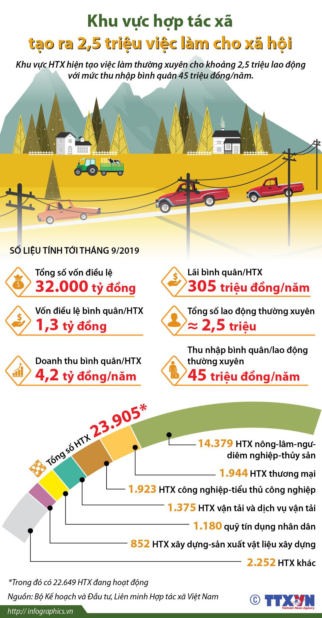 [Infographics] Khu vực hợp tác xã tạo ra 2,5 triệu việc làm ảnh 1
