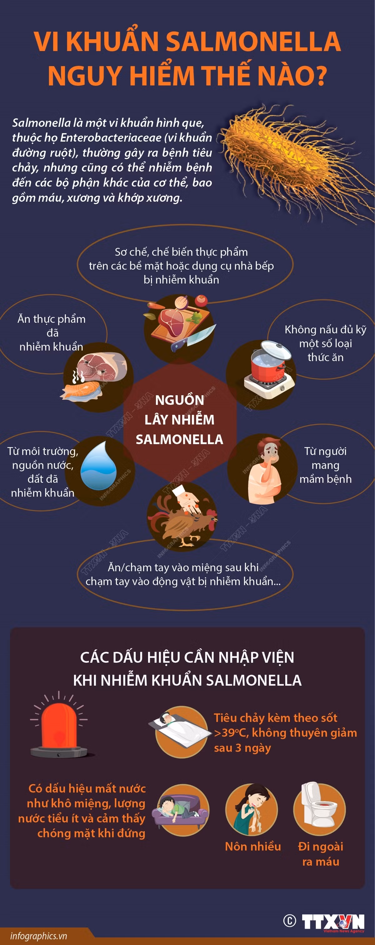 vna_potal_vi_khuan_salmonella_nguy_hienm_the_nao.jpg