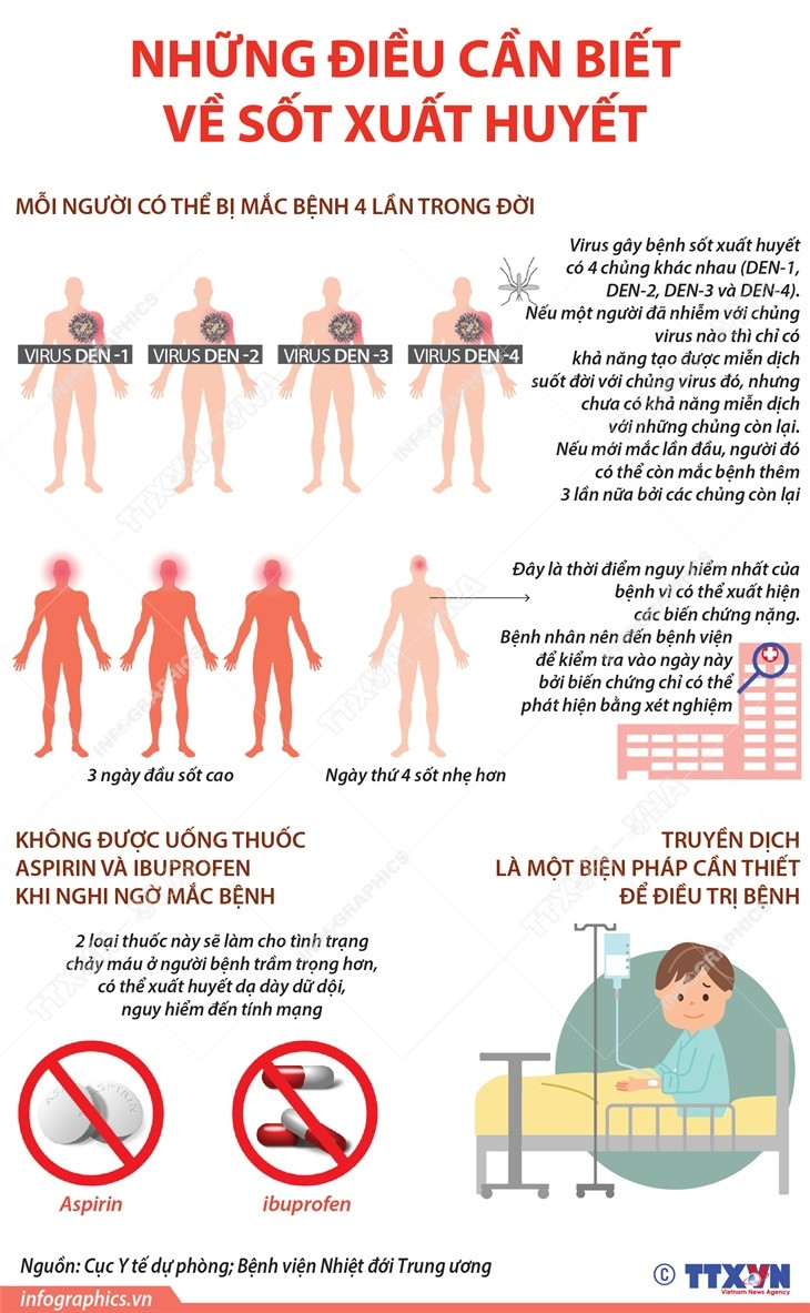 [Infographics] Những thông tin cần biết về bệnh sốt xuất huyết ảnh 1