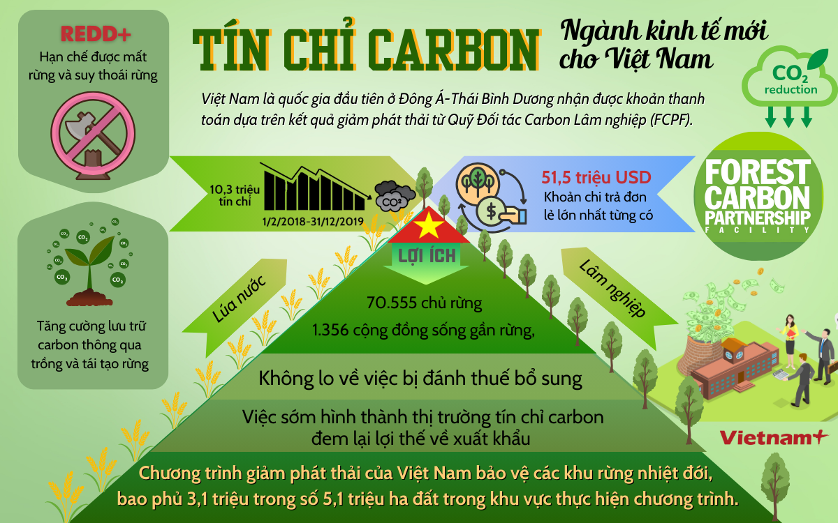 tin chi carbon Viet Nam.png
