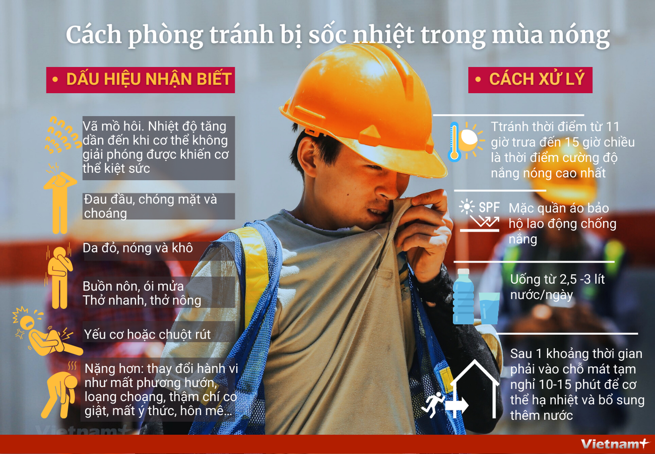 [Infographics] Cách phòng tránh bị sốc nhiệt khi nắng, nóng cao điểm ảnh 1