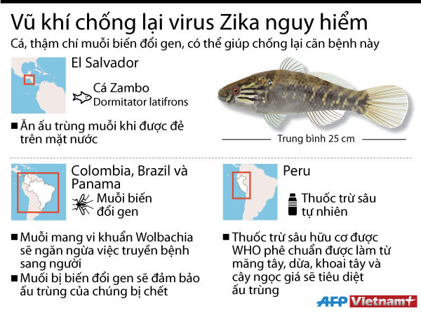 [Infographics] Điểm mặt những vũ khí chủ lực chống virus Zika ảnh 1