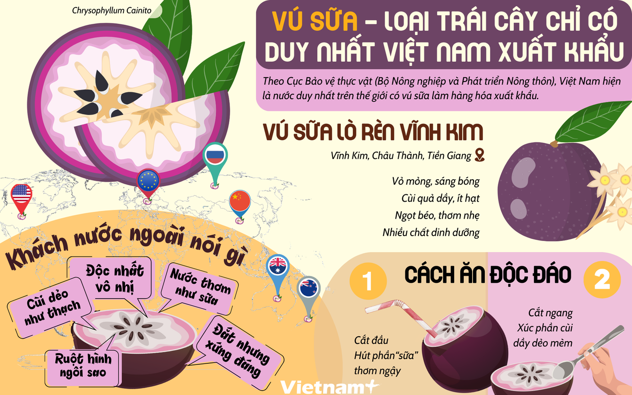 vu sua viet nam.png