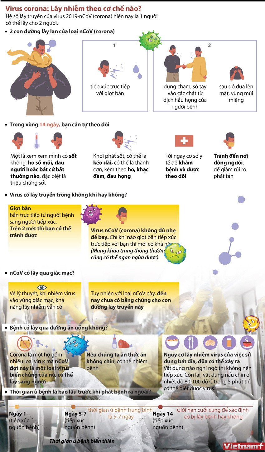 [Infographics] Virus 2019-nCoV lây nhiễm theo cơ chế nào? ảnh 1