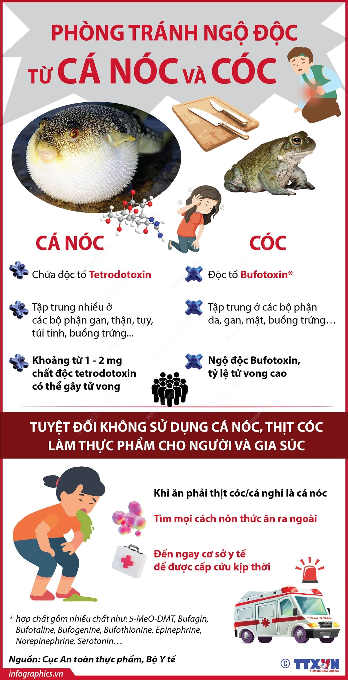 ngo doc ca noc va coc.jpeg