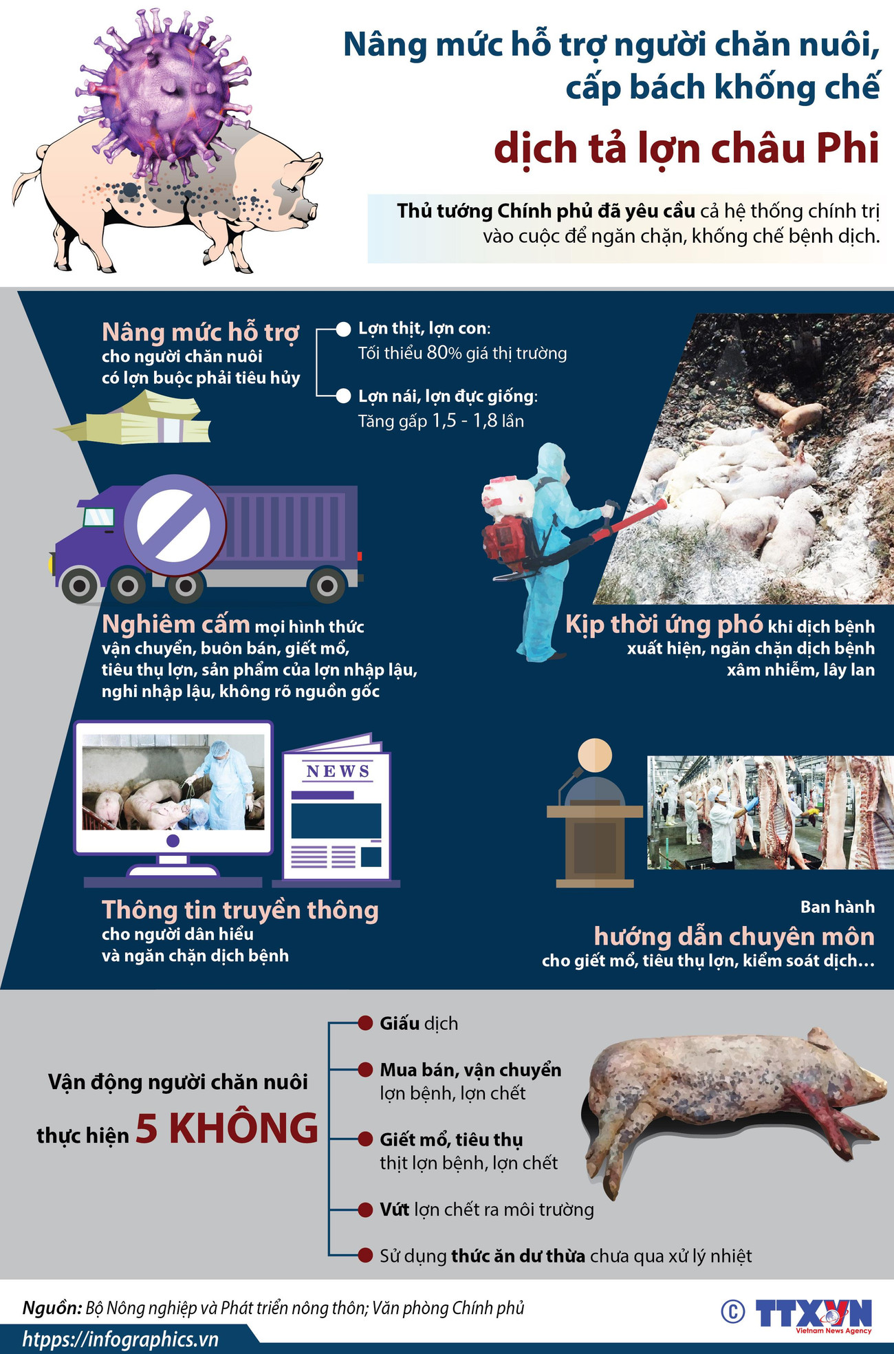 Nâng mức hỗ trợ người chăn nuôi, cấp bách khống chế dịch tả lợn ảnh 1