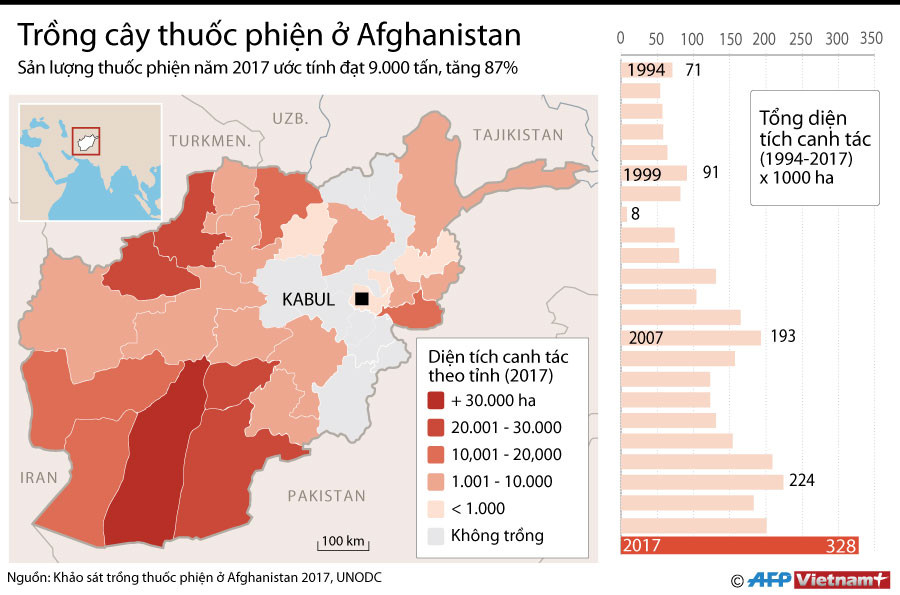 [Infographics] Choáng váng với số lượng cây thuốc phiện ở Afghanistan ảnh 1