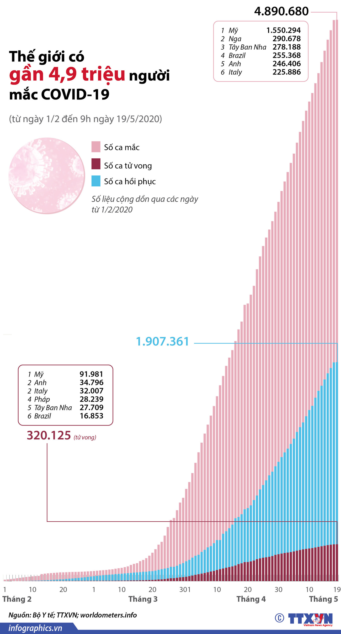 [Infographics] Thế giới có gần 4,9 triệu người mắc COVID-19 ảnh 1