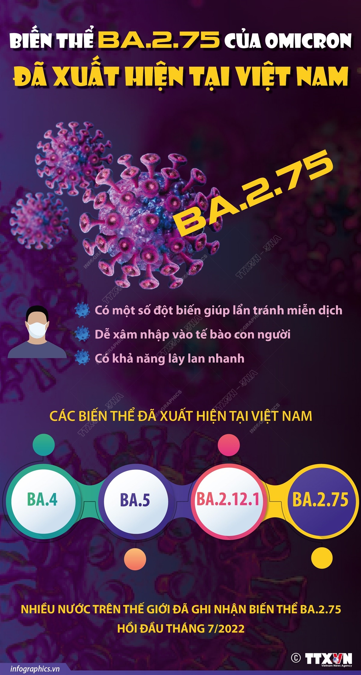 [Infographics] Biến thể BA.2.75 của Omicron đã xuất hiện tại Việt Nam ảnh 1
