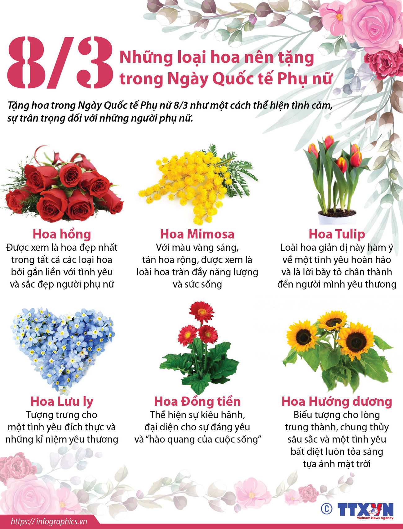 [Infographics] Những loại hoa nên tặng trong Ngày quốc tế Phụ nữ 8/3 ảnh 1