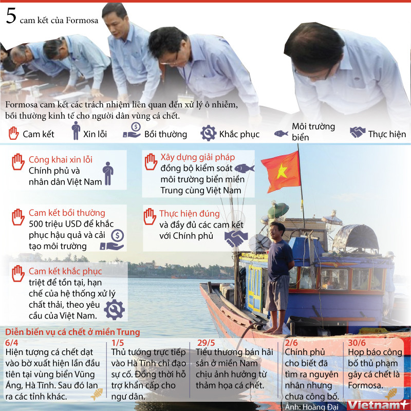 [Infographics] 5 cam kết của Formosa trong xử lý vụ cá chết ảnh 1
