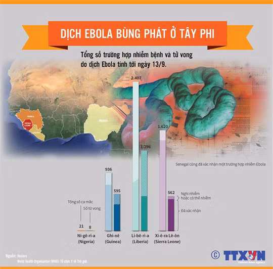 [Infographics] Dịch Ebola tiếp tục bùng phát tại Tây Phi ảnh 1