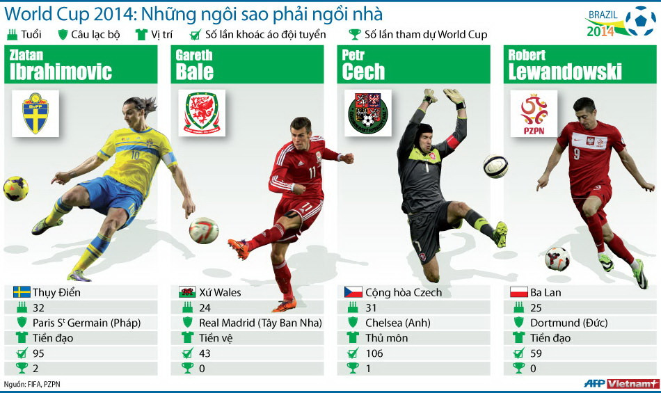Những ngôi sao phải ngồi nhà dịp World Cup 2014 ảnh 1
