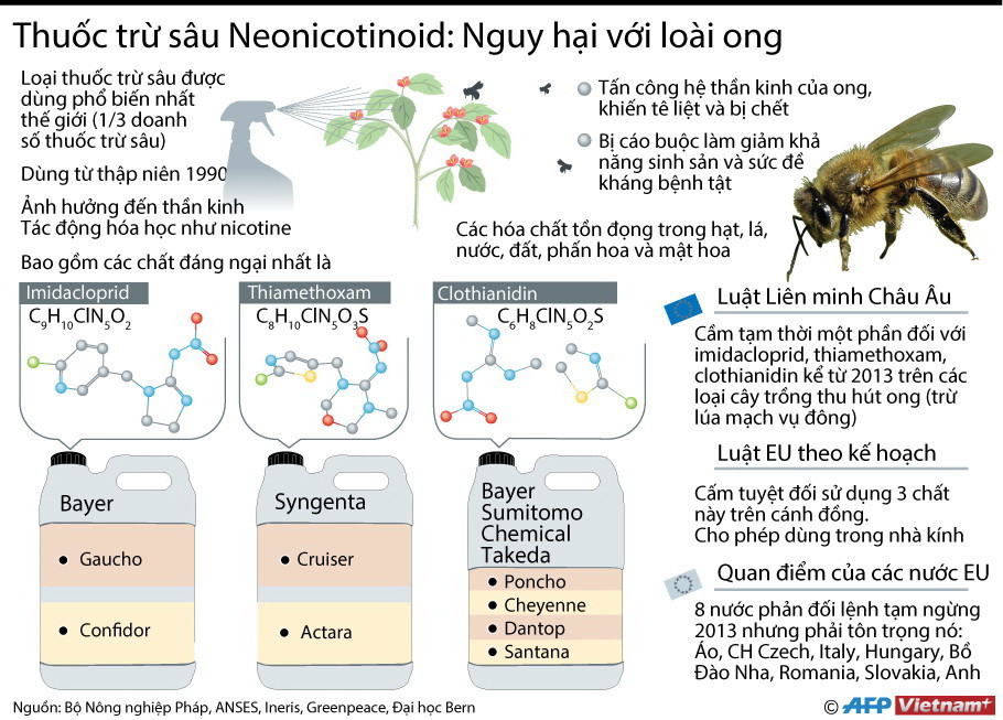 [Infographics] Thuốc trừ sâu neonicotinoid nguy hại tới loài ong ảnh 1
