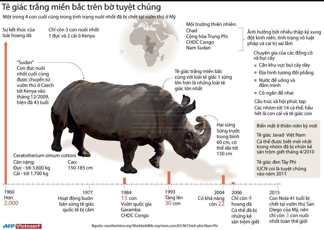 [Infographics] Tê giác trắng miền Bắc đang có nguy cơ tuyệt chủng ảnh 1