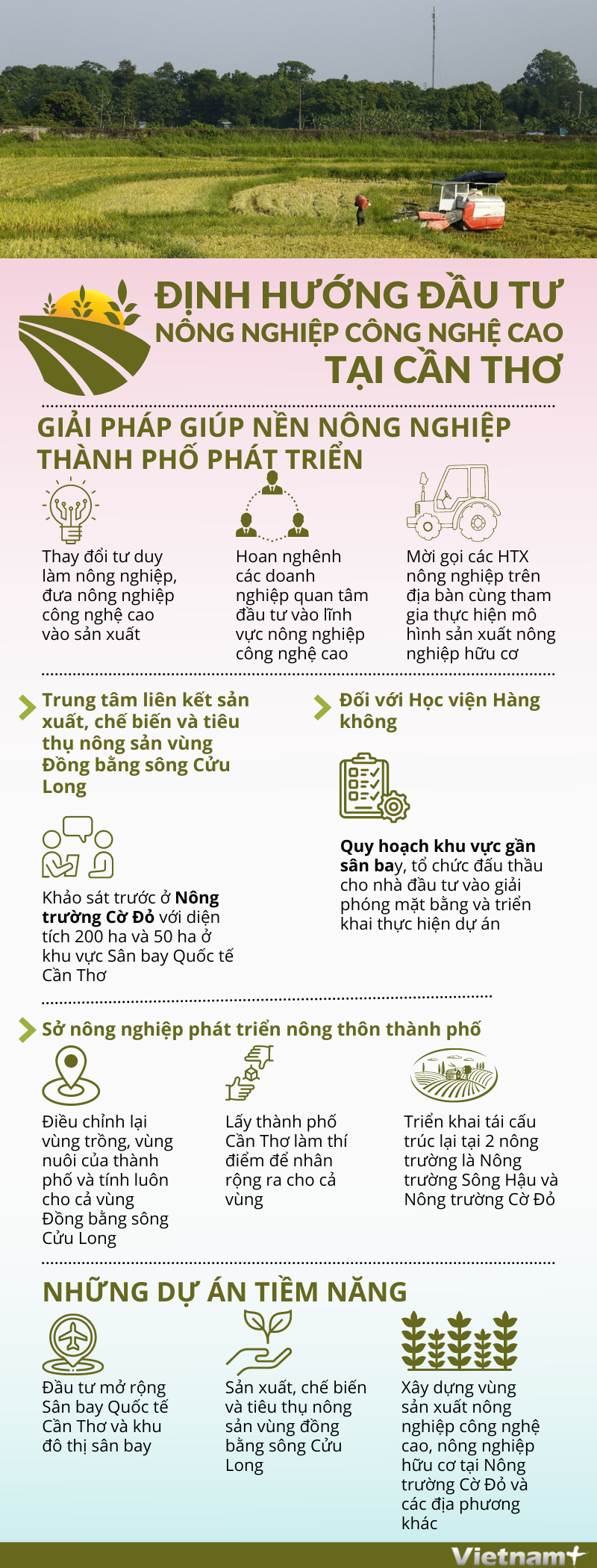 [Infographics] Định hướng đầu tư nông nghiệp công nghệ cao tại Cần Thơ ảnh 1