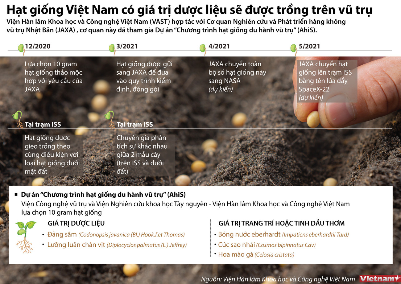 [Infographics] Hạt giống dược liệu của Việt Nam được trồng trên vũ trụ ảnh 1