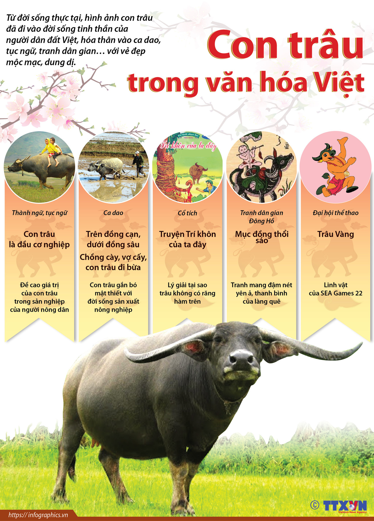 [Infographics] Hình tượng con trâu trong văn hóa Việt Nam ảnh 1