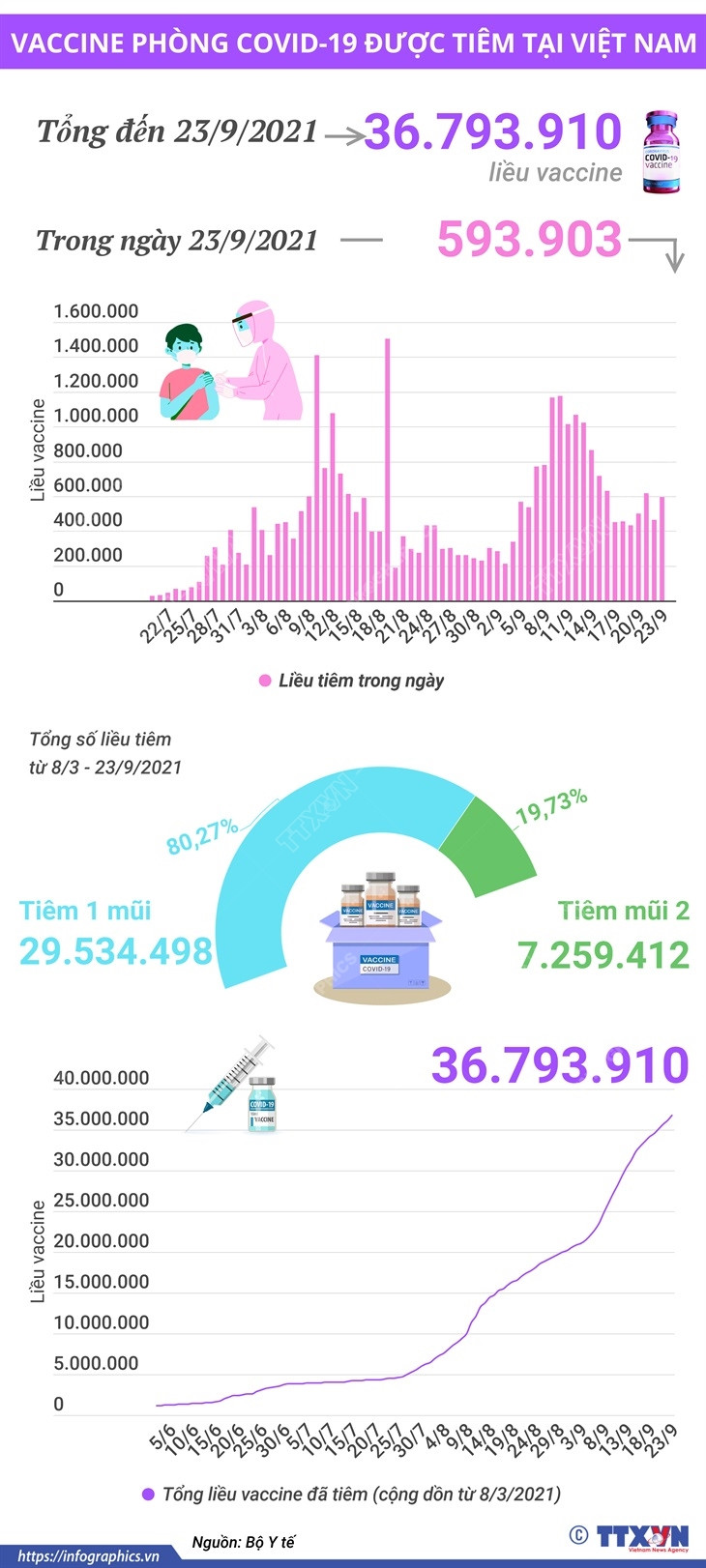 [Infographics] Việt Nam đã tiêm 36,79 triệu liều vaccine COVID-19 ảnh 1